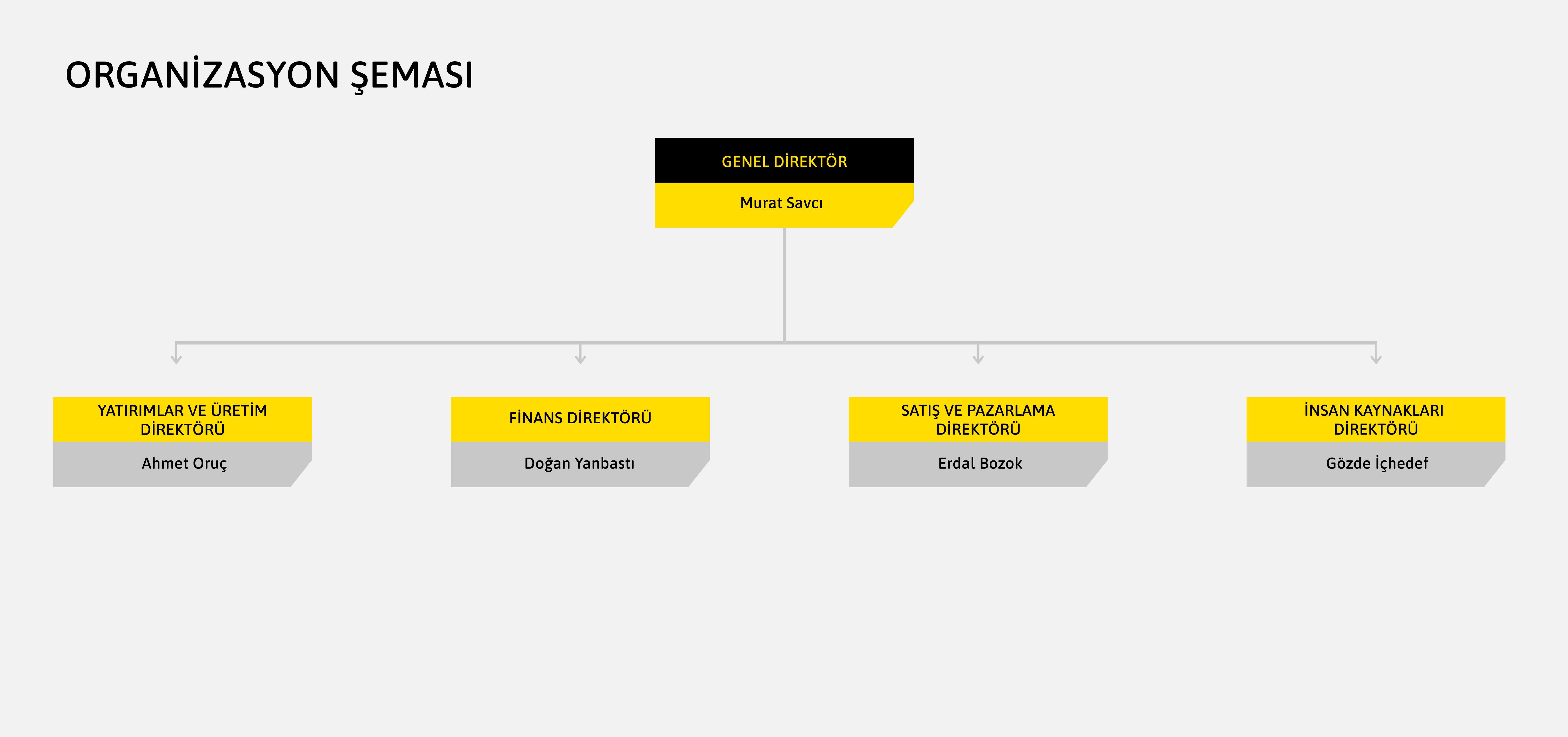 Organizasyon